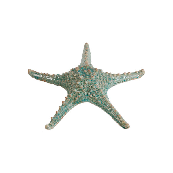 ESTRELA DO MAR DECORATIVA SEACHIC