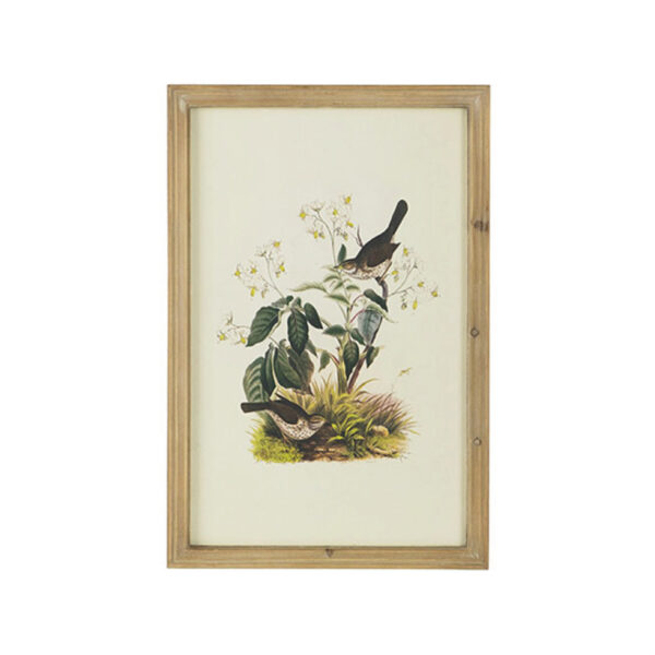 QUADRO BIRDS MEDIO C